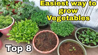 Easiest way to grow Top 8 Vegetables at HomeGarden  Small space gardening CC [upl. by Proctor]