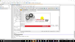 Install Oracle 11gr2 in Linux 7 x Step by step by Le Anh [upl. by Aiza]