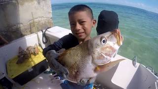 Belize Ambergris caye Spearfishing on the drop off of Ambergris caye [upl. by Yadrahs]