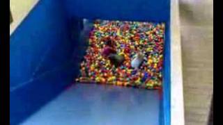 Ball Pool Pit Drop Slide Fun at Cornwalls Crealy Cornwall [upl. by Valaria]