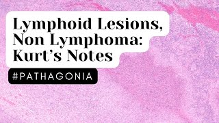 Lymphoid Lesions Non Lymphoma Kurt’s Notes pathagonia [upl. by Erlandson317]