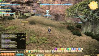 FFXIV Teleport bot mining [upl. by Nibbor]