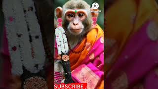 Ghadiya Ghadiya SongSri RamulayyaSoundharyaShortsViralTreandingMonkey [upl. by Cherrita423]