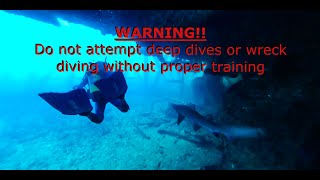 Key Biscayne Deep wreck dive big sharks  Ep 02 Life Over Longevity [upl. by Rikahs]