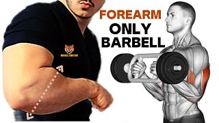 5 BEST Exercises for Bigger Forearms Workout With Barbell Only [upl. by Elah]