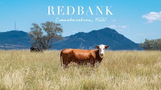 ‘Redbank’ Coonabarabran NSW [upl. by Laurentium]