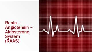 ReninAngiotensinAldosterone System [upl. by Nivanod463]