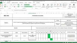 Ejemplo Programa de auditoria [upl. by Fawcette]