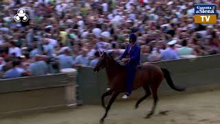 Terza prova  Palio di Siena 2 luglio 2024  SOGNO PALIO [upl. by Phillip]