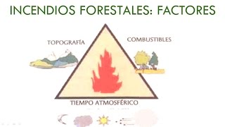 INCENDIOS FORESTALES FACTORES [upl. by Mutua]