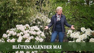 Blütenkalender Mai  Pfingstrosen Flieder Schneeball Rhododendron Storchschnabel [upl. by Wunder]