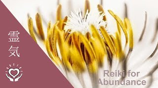 Reiki for Abundance  Energy Healing [upl. by Meece]