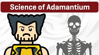 Wolverine and Adamantium 5 Scientific Properties [upl. by Engel]