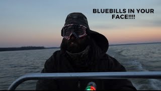 Virginia Diver Duck Hunting Bluebill Beatdown with Ramrod Waterfowl [upl. by Enived]