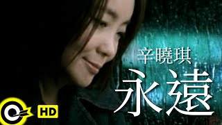 辛曉琪 Winnie Hsin【永遠 Forever】八大韓劇「秘密情人」主題曲 Official Music Video [upl. by Llennoj]