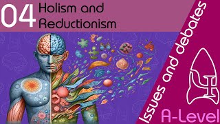 Holism and reductionism  Issues and debates ALevel Psychology [upl. by Lexis]