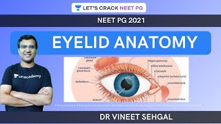 EYELID ANATOMY  NEETPG 2021  Vineet Sehgal [upl. by Ennyl]