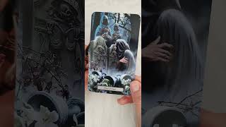 💌 Mensagem para o seu dia O que eu preciso saber hoje tarot tarotdehoje tarotgratis cartadodia [upl. by Enaujed]