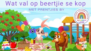 Wat val op beertjie se kop  Prentjies by  Afrikaanse Stories oor Oulike Diertjies [upl. by Benioff]