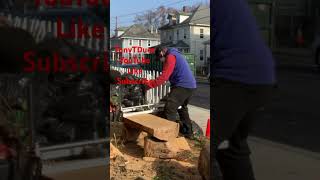 Lumberjack Remix Part I woodworking hardwood lumberjack chainsaw lumberjacks lumber tree [upl. by Malvino385]