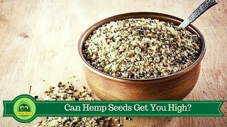 Will I Get High From Eating Hemp Seeds [upl. by Odnalo]