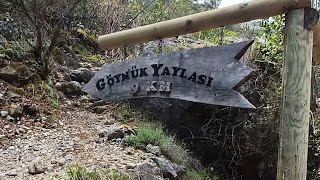 Göynük yaylası yürüyüş videosu isterseniz arka plana doğal müzik koyarak izleyin çünkü boş yaptım😆 [upl. by Latoniah]