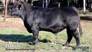 Lot 18 Peakes Bowen Chisum T897 [upl. by Haswell]