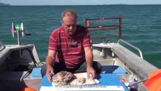 Snapper Longline Fishing Methods [upl. by Erodroeht]