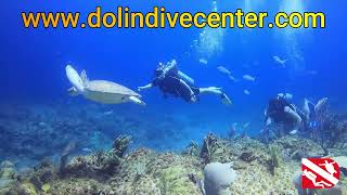 Numero 1 en deportes acuaticos Dolin Dive Center [upl. by Okuy]