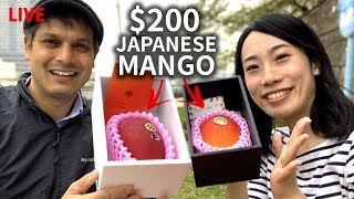 200 Miyazaki Mango Unboxing and Tasting [upl. by Assil]