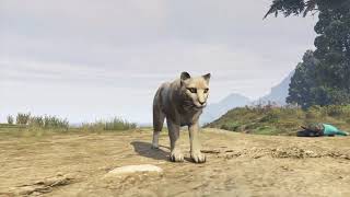 PEYOTES GTA5 MODO HISTORIA PUMA [upl. by Schweitzer]