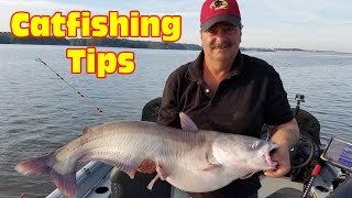 Tips for catching blue catfish in a lake Use this Multi Rig Technique to Catch Big Catfish [upl. by Alul]