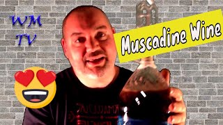 Beginner Wine  Muscadine Wine  How to Make Wine [upl. by Donnell]