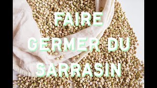 Faire germer du sarrasin en quantité [upl. by Ryann903]