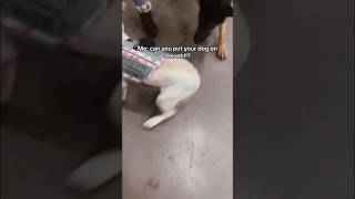 Off leash dog comes after service dog in store servicedog dog dogs youtubeshorts shorts [upl. by Netram736]