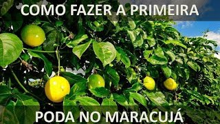 1° PODA DO MARACUJÁ  TENHA MAIS FRUTOS COM ESSA DICA [upl. by Sinai724]