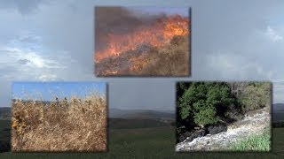 MediterraneanClimate Ecosystems Drought Fire and Flood [upl. by Alehs462]