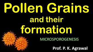 Pollen grain  microspore formation Reproduction in flowering plant  Class 12 Chapter 2 Video 4 [upl. by Aelyk]