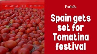 Spain gets set for Tomatina festival [upl. by Tedmann]