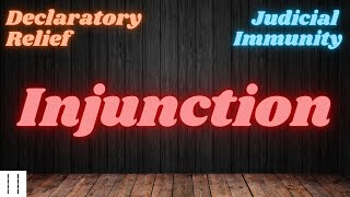 Court 101 Injunction Declaratory Relief and Judicial Immunity [upl. by Lulita]