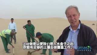 Chinese subtitles Groasis anti desertification instruction film in Dubai to plant trees in deserts [upl. by Nayr]