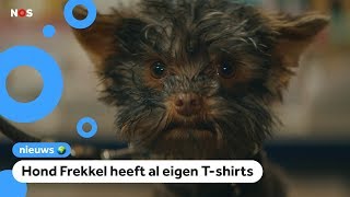 Dit is de beste tvreclame van 2018 [upl. by Selry]