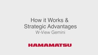 WVIEW GEMINI 02 How it Works and Strategic Advantages  動作原理と優位性 [upl. by Dall]