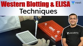 Western Blotting  Elisa Techniques  NEET 2020  Unacademy NEET  Pradeep Sir [upl. by Cosmo417]