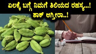 Elachi amazing benefits for human life  Health tips  Top Kannada TV [upl. by Streetman]