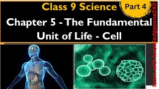 Fundamental unit of life class 9  biology science [upl. by Erleena]