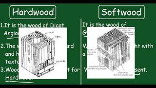 Hardwood vs Softwood Quick Difference and Comparisons [upl. by Ttebroc924]