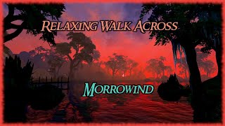 Relaxing Walk Across Morrowind  Ambient Music and Sounds in 4k [upl. by Agathe]