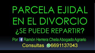 la parcela en el divorcio  Asesoría Whatsapp 6691137043 [upl. by Bijan]