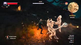 Witcher 3 How to defeat Imlerith Death March with Commentary [upl. by Schwejda532]